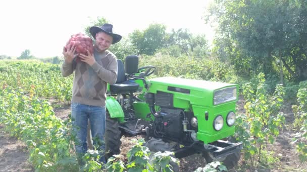 Male Farmer Carries Bag Potato Crops While Walking Field Green — Stock video