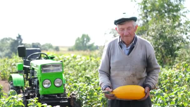 Senior Farmer Holding Pumpkin His Hands Background Green Mini Tractor — Stock video