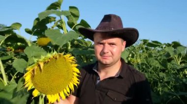 A Caucasian farmer inspects a sunflower crop, and raises his thumb up. An agronomist works on a yellow sunflower field. Agriculture and county side hard worker. 4k video