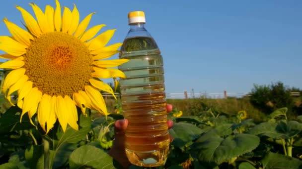 Sunflower Oil Advertisement Sunflower Flower Bottle Freshly Squeezed Oil Sunflower — Stockvideo