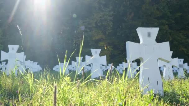 Cemetery Ukrainian Soldiers Who Died World War Tragedy 20Th Century — стоковое видео