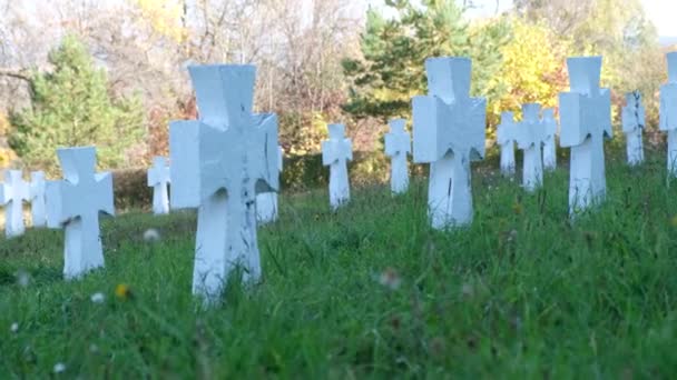 Mezarlıkta Beyaz Haçlar Dünya Savaşı Sırasında Yahudilerin Gömüldüğü Yer Abd — Stok video