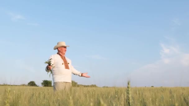 Joyful Happy Farmer Middle Wheat Field Blue Sky Ukraine Granary — ストック動画