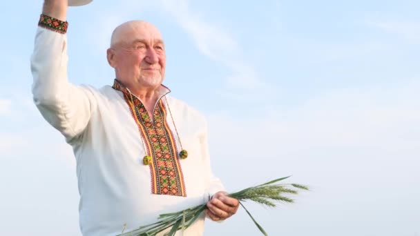 Happy Grandfather Farmer Holding Ear Wheat Blue Sky Old Man — Video