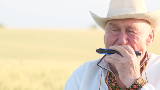Close Face Old Man Hat Playing Harmonica Lonely Grandfather Field — Vídeo de Stock