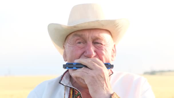 Old Man Embroidered Coat Hat Plays Harmonica Grandfather Wheat Field — Vídeo de Stock