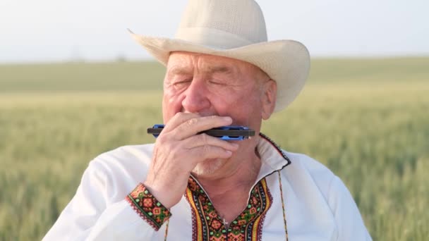 Een Dure Oude Man Speelt Mondharmonica Een Tarwe Rogge Veld — Stockvideo