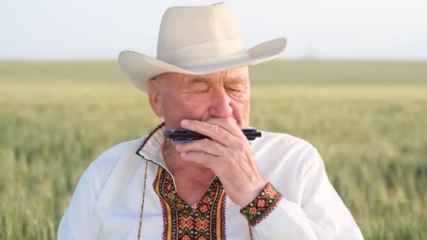 Old Man Field Ukrainian Peasant Alone Plays Harmonica Wheat Field — Vídeo de Stock