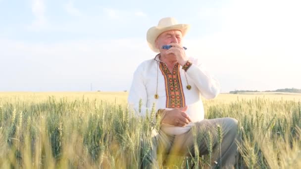 Old Man Embroidered Coat Hat Plays Harmonica Grandfather Wheat Field — ストック動画