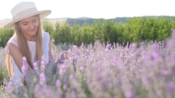 Beautiful Young Girl Sits Lavender Bushes Field Blooming Lavender Lady — Vídeos de Stock