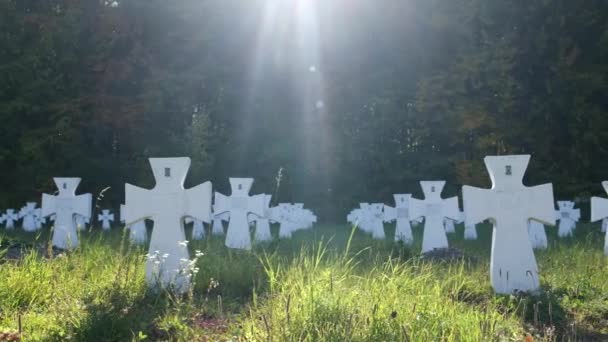 Cemetery Halychyna Soldiers Village Lyatske Chervone Video Recording Format Summer — Vídeos de Stock