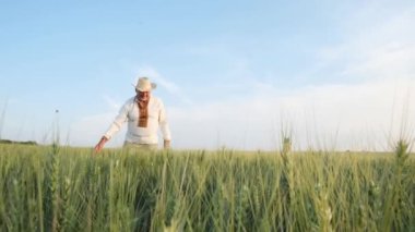A man in Ukrainian embroidery touches wheat at sunset. Concept of preservation of Ukrainian grain, blockade of ports, world hunger and crisis.