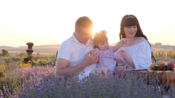 Beautiful Young Family Picnic Purple Flower Lavender Field Outdoor Weekend — Wideo stockowe