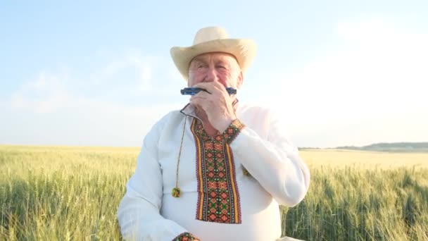 Elderly Ukrainian Embroidered Jacket Playing Harmonica Middle Wheat Field Old — Stockvideo