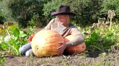 Rural worker with pumpkin on a pumpkin field. Beautiful harvest of large pumpkins in the garden in the countryside