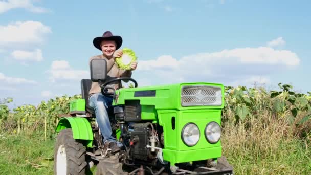 Male Agronomist Sunflower Plantation Sitting Tractor Having Fun Funny Man — Vídeos de Stock