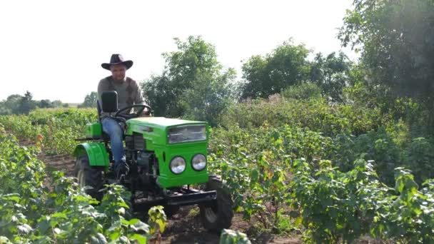 Broken Mini Tractor Field Worker Can Drive Concept Broken Agricultural — Video Stock