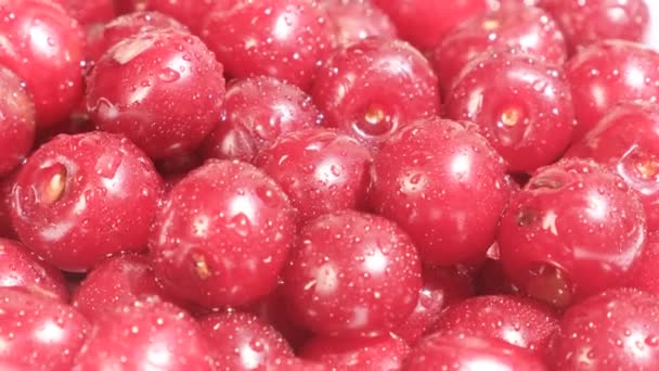 Fruit Ripe Red Cherry Berries Photo Background Cherry Close — Stok video