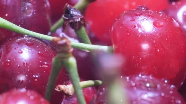 Macro Photography Ripe Red Cherries Spinning Circle — Stok video