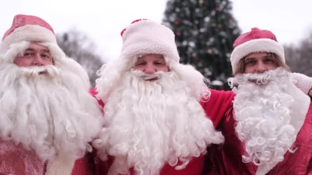 Three Santa Clauses Make Photo Shoot Christmas Tree Festive Mood — Stockvideo