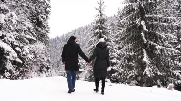 Young People Love Boy Girl Walking Winter Road Middle Snow — Stock video