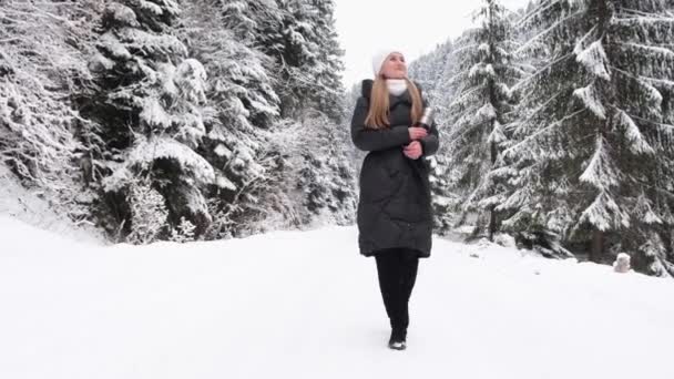 Young Woman Who Warmly Dressed She Walks Winter Forest Enjoys — Vídeo de stock