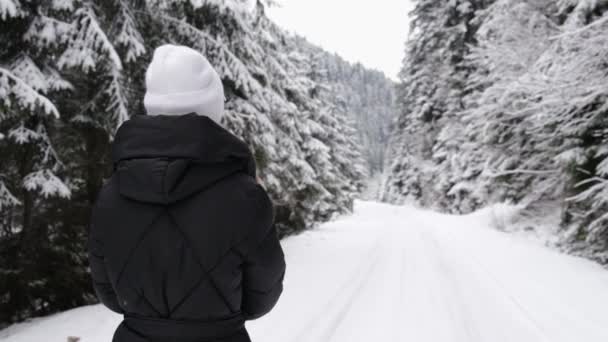 Super Slow Motion 240 Fps Girl Goes Winter Forest Snowflakes — Vídeo de Stock
