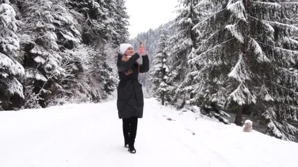 Νεαρή Γυναίκα Που Περπατάει Στο Χειμερινό Δάσος Μια Παγωμένη Μέρα — Αρχείο Βίντεο