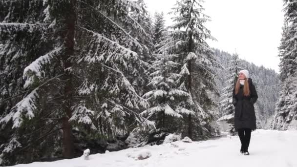 Ένα Νεαρό Κορίτσι Περπατά Ένα Μονοπάτι Ένα Χιονισμένο Δάσος Όμορφη — Αρχείο Βίντεο