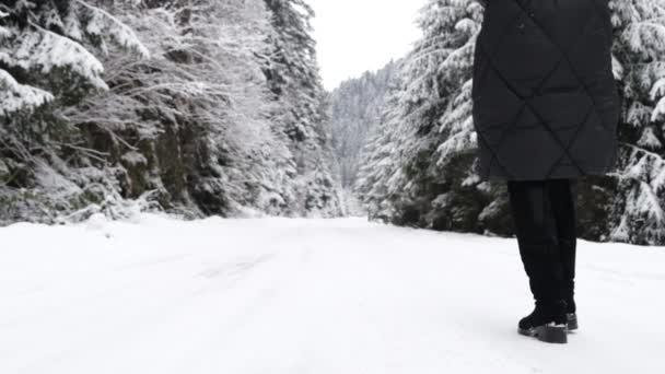 View Womans Legs Woman Who Warmly Dressed Walks Winter Forest — Wideo stockowe