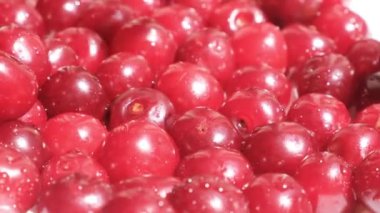 Ripe cherry berry close-up. Natural, organic, vitamin berry. Selective focus. Drops of water on the surface of red berries.