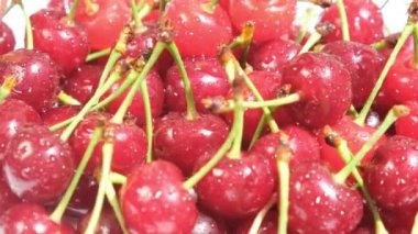 Fresh red and ripe cherries with water drops, many berries, video macro