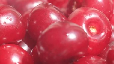 Super macro video, Juicy bright red cherries, fresh tasty berries, fruit for background, many berries