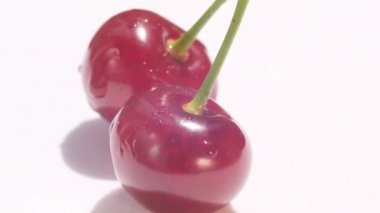 A pair of red juicy cherries with fruit stalks. Two juicy red cherry berries on a white background, delicious and ripe fruit