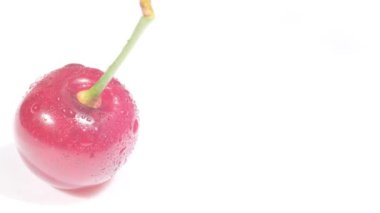 Juicy cherry with fruit stalks on a white background, tasty and ripe berries. Video macro shooting