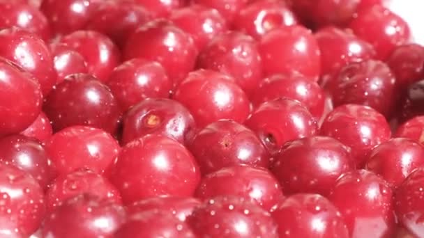 Ripe Cherry Berry Close Natural Organic Vitamin Berry Selective Focus — Vídeos de Stock