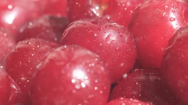 Ζουμερά Κεράσια Έντονο Χρώμα Κρασιού Φρέσκα Νόστιμα Μούρα Φρούτα Για — Αρχείο Βίντεο