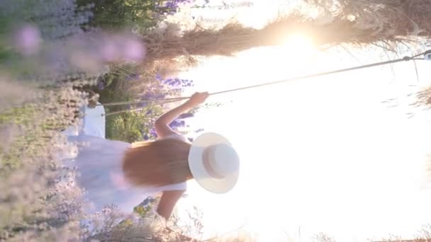 Vertical Video Woman Riding Swing Sunset Summer Nature Beautiful Purple — Video Stock