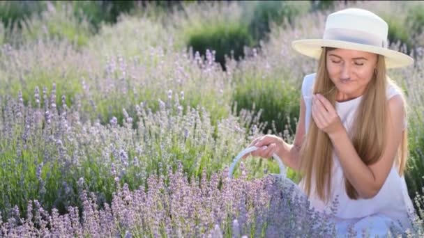 Beautiful Young Woman Picking Lavender Flowers Carefree Romantic Woman Lavender — Vídeos de Stock