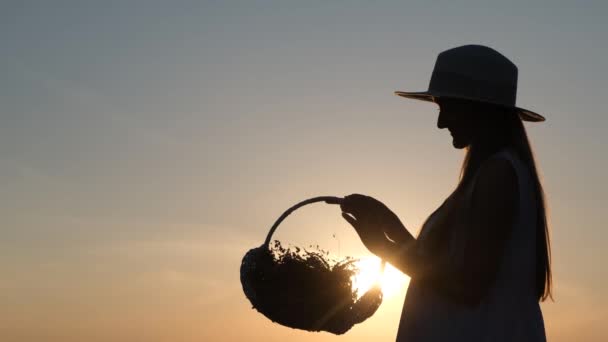 Silhouette Woman Hat Basket Lavender Flowers Sunset Beautiful Girl Enjoying — Vídeos de Stock