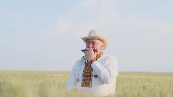 Old Ukrainian Grandfather Embroidered Jacket Sits Wheat Field Plays Harmonica — Vídeo de Stock