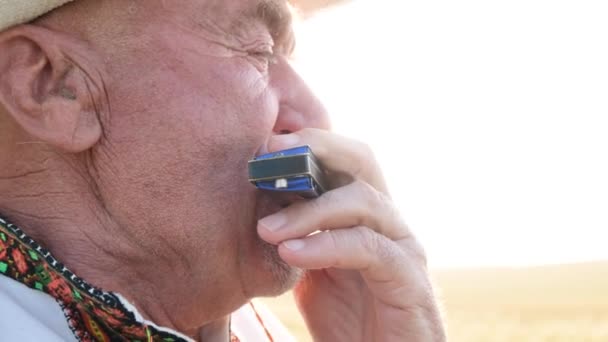 Old Ukrainian Grandfather Embroidered Jacket Sits Wheat Field Plays Harmonica — Vídeo de stock