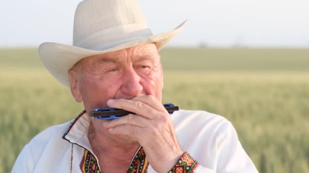 Old Ukrainian Grandfather Embroidered Jacket Sits Wheat Field Plays Harmonica — Video