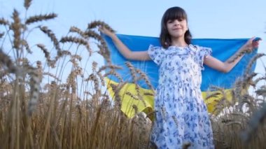 A girl with a Ukrainian flag stands on a wheat field. Blue and yellow flag of Ukraine. A Ukrainian girl wraps her shoulders with a flag