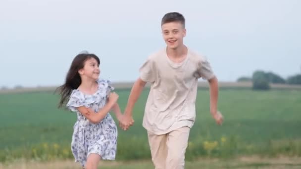 Happy Children Little Girl Teenage Boy Running Field Holding Hands — Wideo stockowe