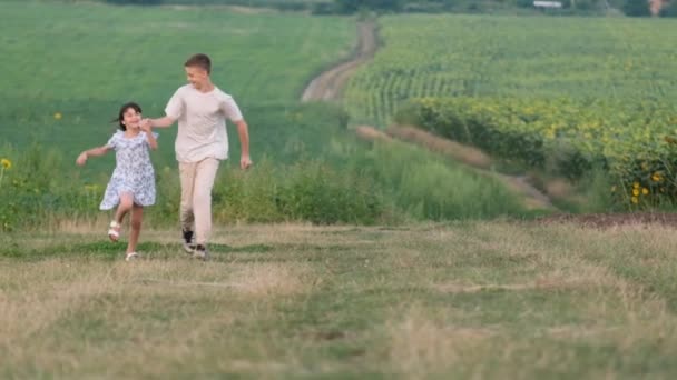 Happy Children Little Girl Teenage Boy Running Field Holding Hands — Stok Video