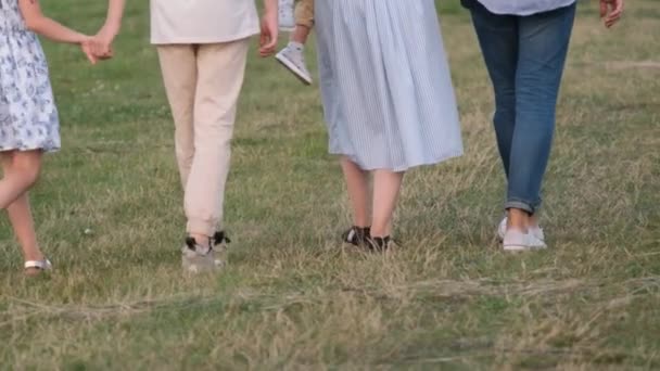 Happy Family Three Children Walking Field Green Grass Background Blue — Wideo stockowe