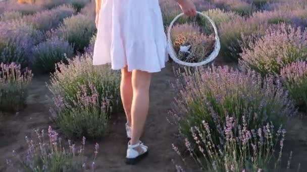Provence Ortasında Yürüyen Genç Bir Kızın Bacakları Sepetli Beyaz Elbiseli — Stok video
