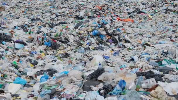 Plastikflaschen Und Tüten Voller Umweltverschmutzung Meer Das Problem Der Umweltverschmutzung — Stockvideo