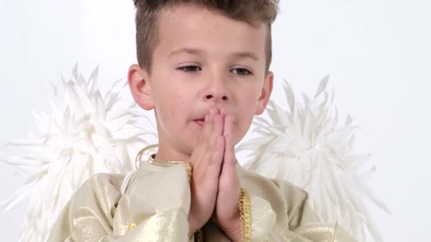 Baby Boy Praying Form Angel White Wings Studio White Video — Stock Video